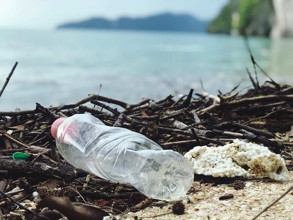 single-use plastic bottles harm the environment